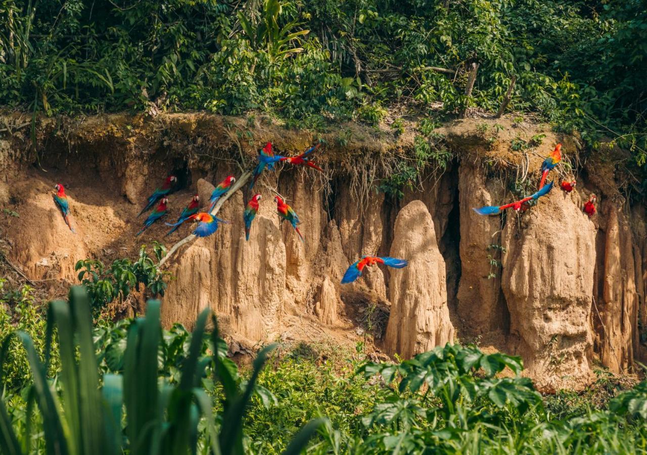 Refugio Amazonas Lodge Tambopata 外观 照片