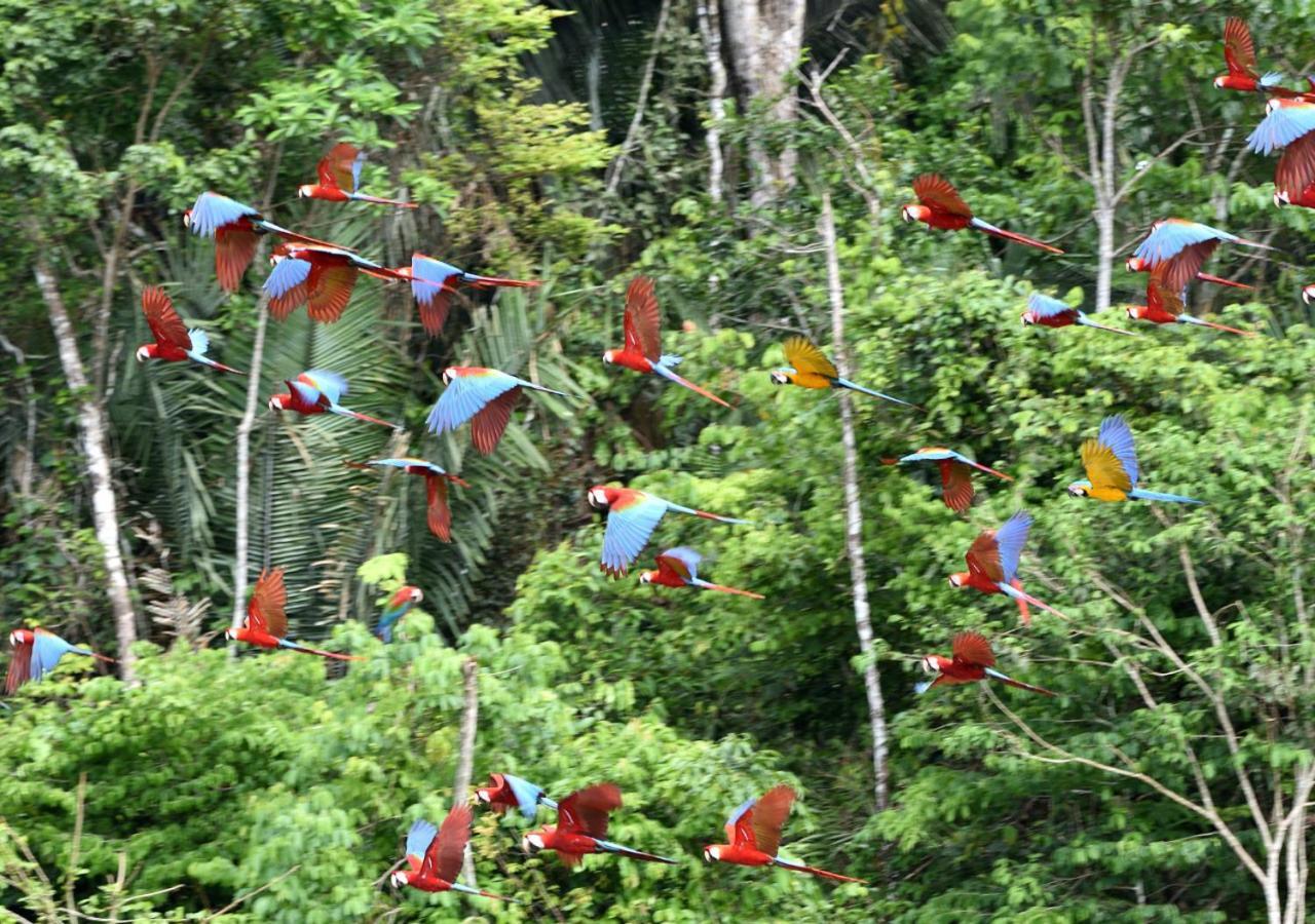 Refugio Amazonas Lodge Tambopata 外观 照片