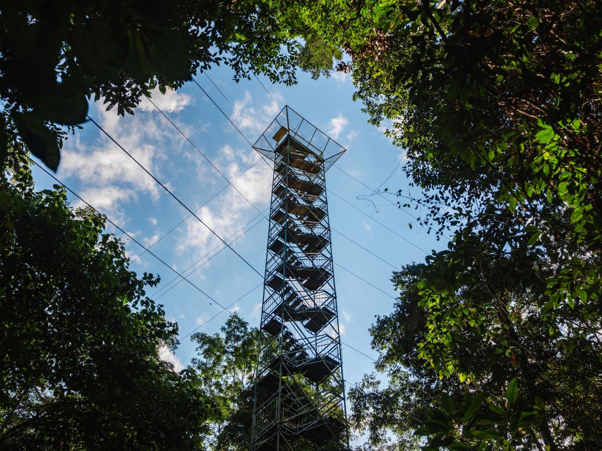 Refugio Amazonas Lodge Tambopata 外观 照片