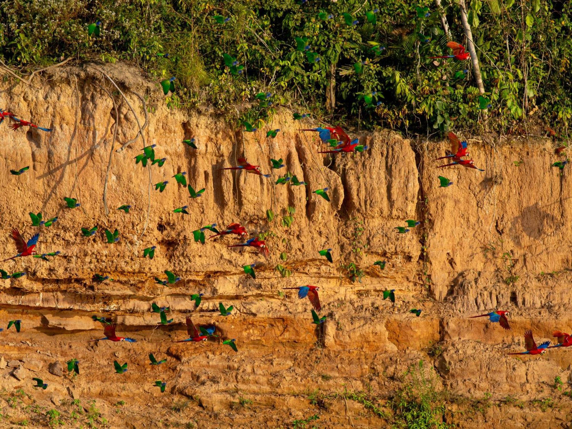 Refugio Amazonas Lodge Tambopata 外观 照片